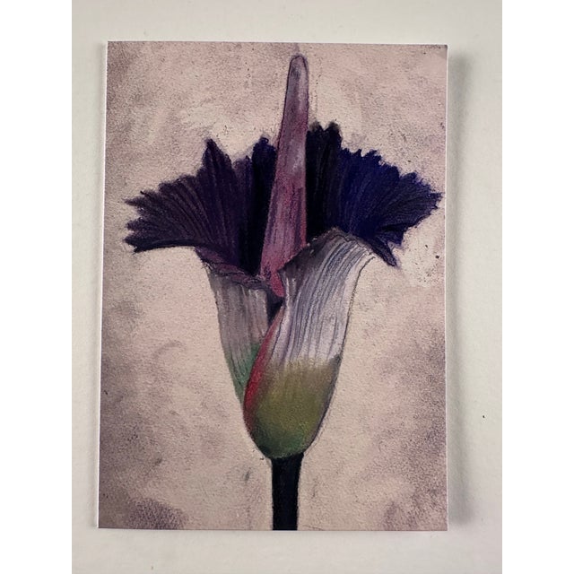 Ebony Set of 6 Folded Note Cards Printed From My Pastel Drawings For Sale - Image 8 of 10