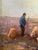 Framed Oil on Canvas "Sheep in the Field", Late 19th Century