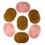 2010s Vintage Whimsical Hand-Painted Cherry Blossom Placemats, Mixed Blush & Bronze, Set of 7 For Sale - Image 5 of 12