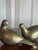Mid-Century Modern Brass Doves For Sale - Image 11 of 12