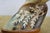 Mid 20th Century Justa Carved Buffalo Horn Bird Figurine on Wood Base MCM Sculpture For Sale - Image 6 of 11