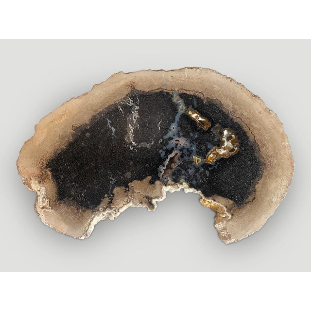 Andrianna Shamaris Rare Palm Petrified Wood Slab For Sale - Image 10 of 18
