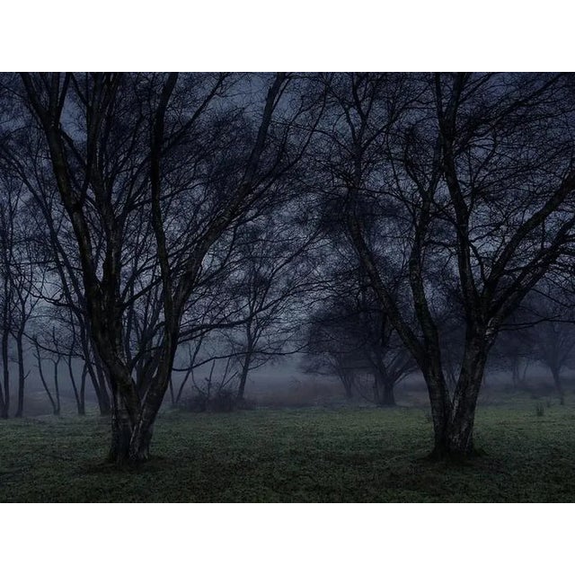 'Stillness 6' is an elegant C-Type Print on Fuji Crystal Archive Paper in Maxima Matte. This size print is available in a...