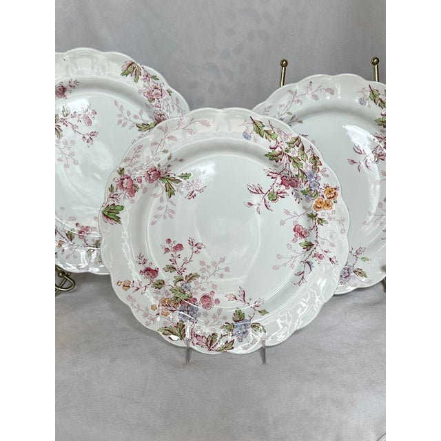 Booth's 1970s Booths China “Washington” Pattern Dinner Plates, Made in England- Set of 3 For Sale - Image 4 of 9