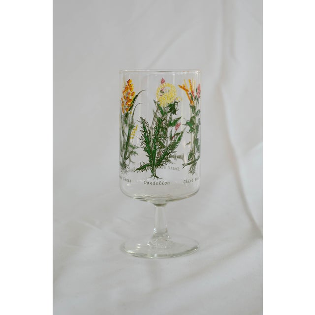 Vintage Neiman Marcus “Weed & Wildflower” Botanical Stem Glasses - Set of 6 For Sale - Image 9 of 13
