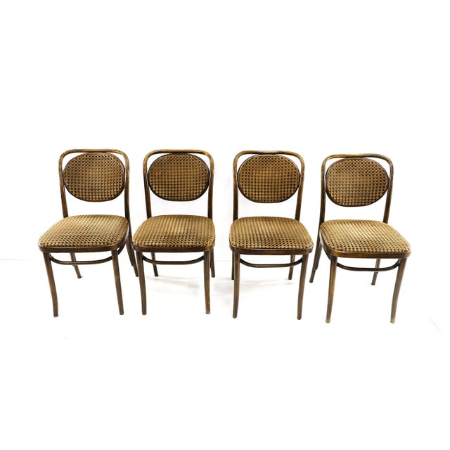1970s Vintage Bentwood Chairs, 1970s, Set of 4 For Sale - Image 5 of 8