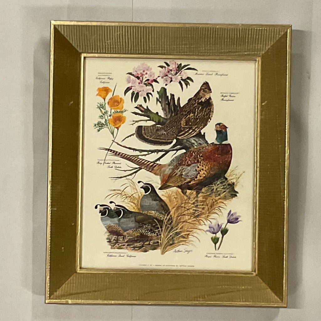 Vintage Americana Arthur Singer Lithograph, Flora & Fauna of Three