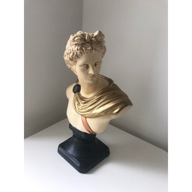 Painted Greek Figurine Apollo Bust For Sale - Image 9 of 10