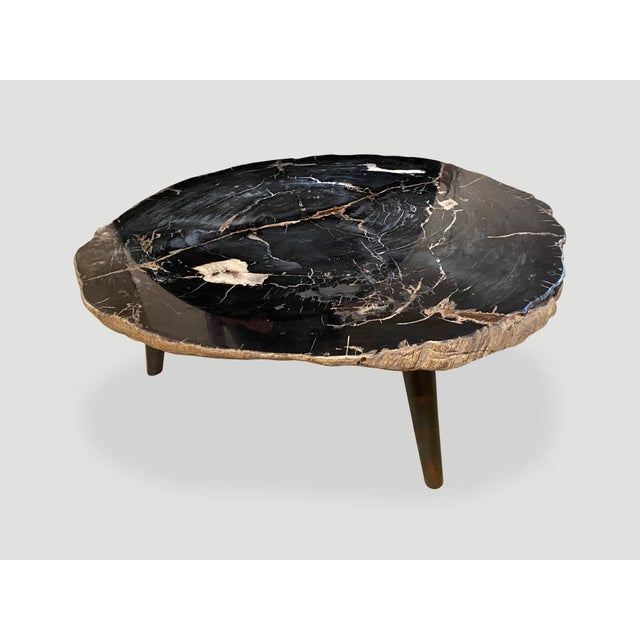Andrianna Shamaris Impressive Super High Quality Petrified Wood Coffee Table For Sale - Image 16 of 18