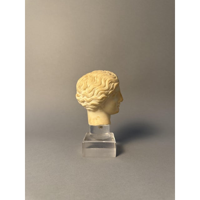 Stone Statuary Head of Artemis, 18th Century, Marble For Sale - Image 7 of 12