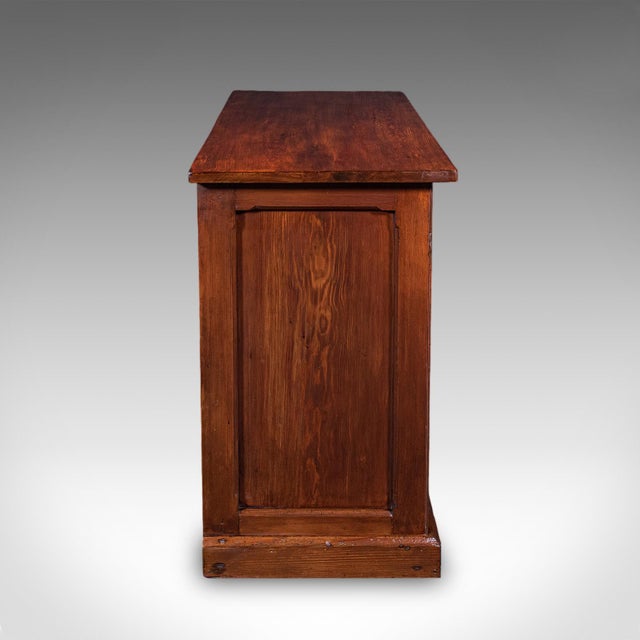 Antique Gothic Revival Cabinet, English, Storage Cupboard, Bookcase, Victorian For Sale - Image 4 of 12
