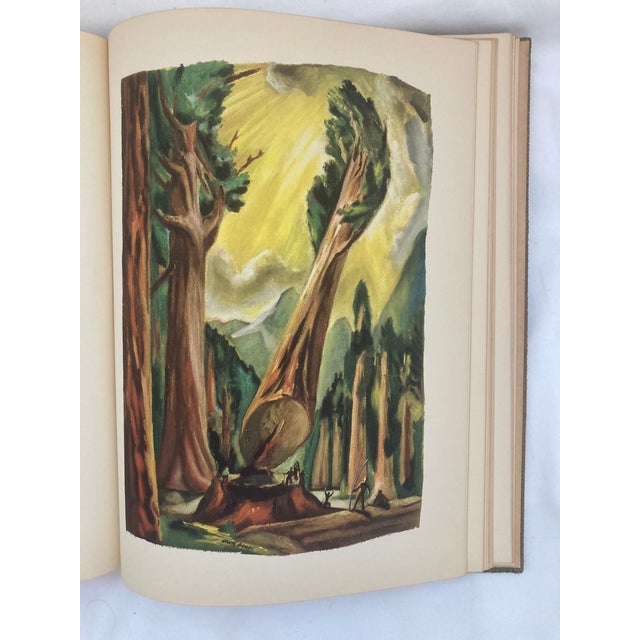 Leaves of Grass / Vintage Book of Walt Whitman Poetry Collection / 1940 For Sale - Image 13 of 13