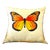 Country Decorative Pillows by Pierre D"Argent: The Butterfly For Sale