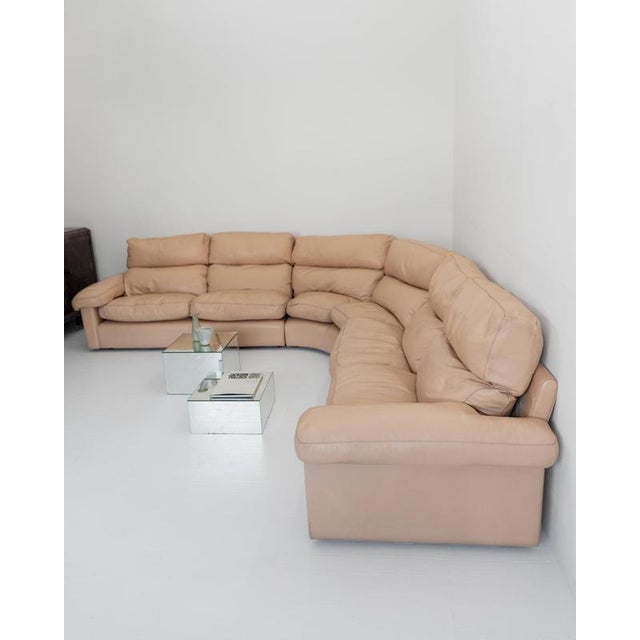 Vintage Petronio 4-6 Seater Sofa in Blush Leather by Tito Agnoli for Poltrona Frau, 1970s For Sale - Image 12 of 13