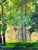 Forest Green Oil Painting Morning Park Serdyuk Boris Petrovich For Sale - Image 8 of 11