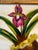 Impressionist “Lady Slipper Orchid” Contemporary Impressionist Style Original Painting Framed For Sale - Image 3 of 7