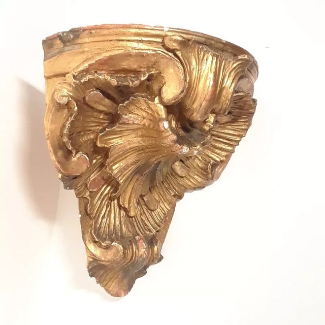 French C1800 French Louis XV Renaissance Style Rococo XL Carved Gesso/ Giltwood Corner Bracket / Wall Display Shelf For Sale - Image 3 of 12