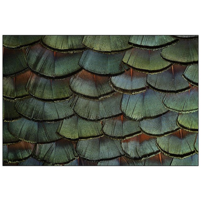 19th Century Oil Table Lamp in Gilded Bronze For Sale - Image 5 of 9