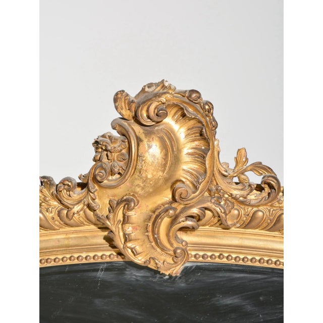 French Louis XV Style Gold Gilt Framed Mirror - 61 in tall x 41 x 3