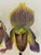 Lindenia Orchid Lithograph: Cypripendium Vexxillarium RCHB.Pl. CCCLX For Sale In Miami - Image 6 of 7