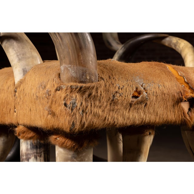 Mid 20th Century Monumental Longhorn Horn Throne Chair For Sale - Image 9 of 13