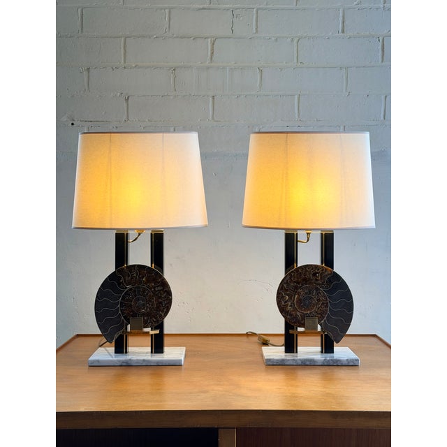 Pair of unique table lamps, Hollywood Regency style, black lacquer and brass and a giant ammonite (>20 cm diameter)....