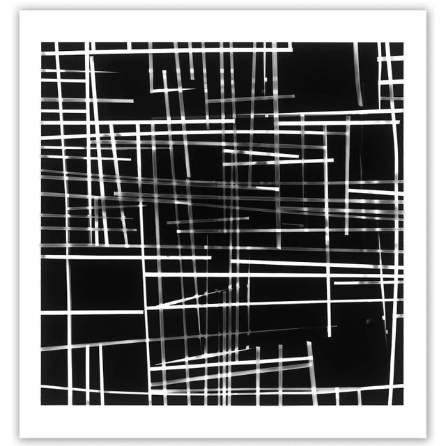 Tenesh Webber Contemporary Abstract Photography on Hahnemuhl Paper "Circulation" by Tenesh Webber For Sale - Image 4 of 4