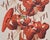 Set of Nine Botanical Lithograph Prints After Louis Van Houtte For Sale - Image 12 of 18
