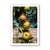 Contemporary Guy Sargent, Apples, Archival Pigment Print For Sale - Image 3 of 6