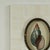 Contemporary Pair of Petite Bone Framed Seashell Prints For Sale - Image 3 of 16