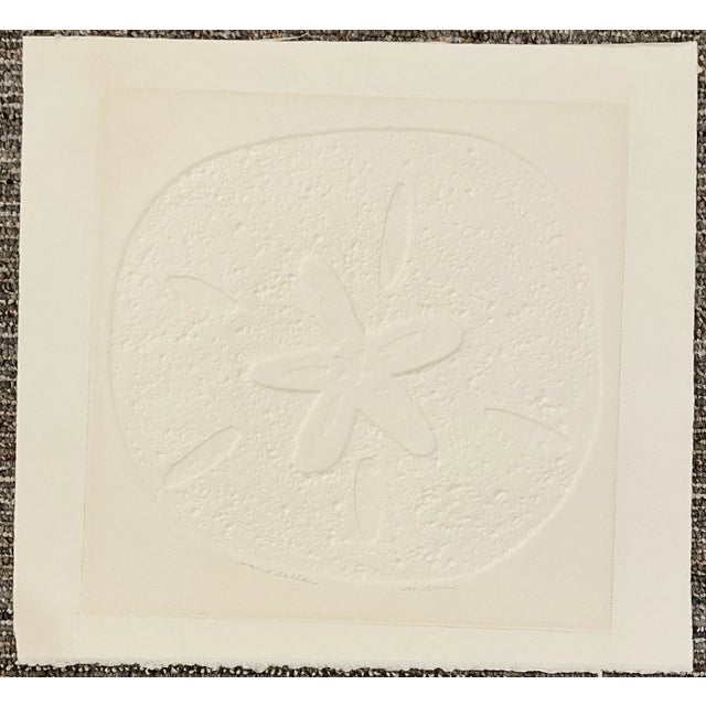 1970s 1970s Sand Dollar Embossed Etching by Line For Sale - Image 5 of 6