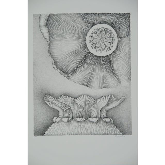 Gochka Charewicz, L'épanouissement, Lithograph For Sale