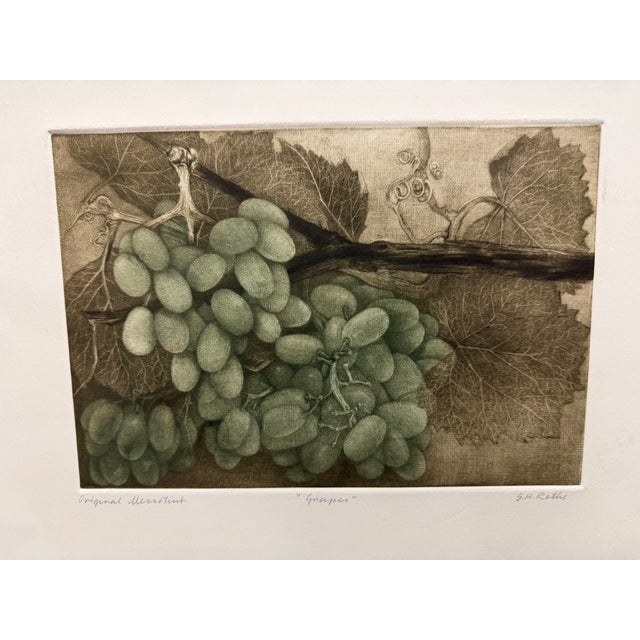 "Grapes" Original Limited Edition Mezzotint by G. H. Rothe Hand signed, titled and numbered by the artist Image Size: 8.5"...