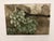 "Grapes" Original Limited Edition Mezzotint by G. H. Rothe Hand signed, titled and numbered by the artist Image Size: 8.5"...