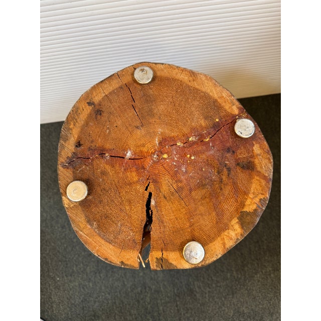 Organic Tree Stump Side Table/Stool For Sale - Image 12 of 12
