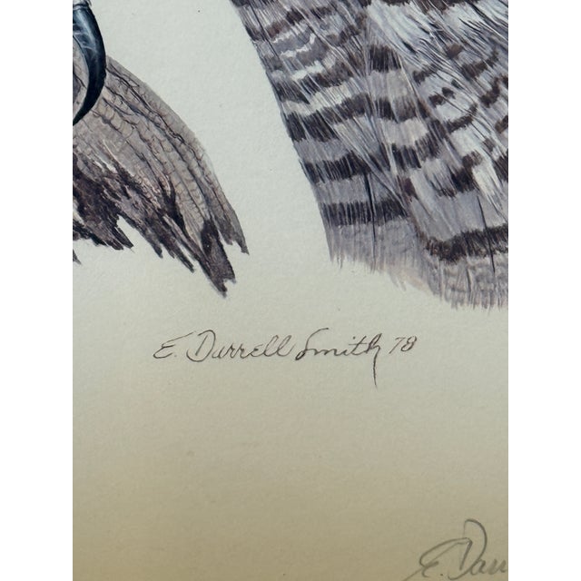 Paper E. Darrell Smith Great Horned Owl Artist Proof, Signed For Sale - Image 7 of 12