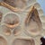 Late 19th Century Weimar Germany Iridescent Pink Porcelain Scalloped Oyster Plate For Sale - Image 4 of 8