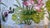 Pair Late 19th Century Famille Rose Lotus Pond Jardinieres For Sale - Image 15 of 15