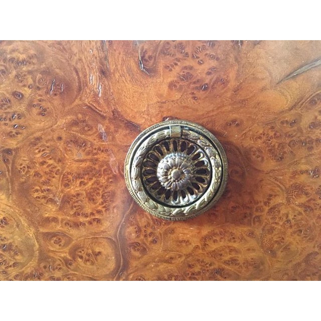 Late 18th Century Regency Elmwood Root Chest of Drawers, Italy, 1790 For Sale - Image 11 of 18