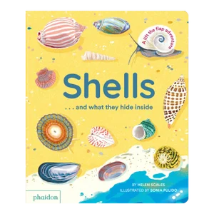 Shells... And What They Hide Inside Book