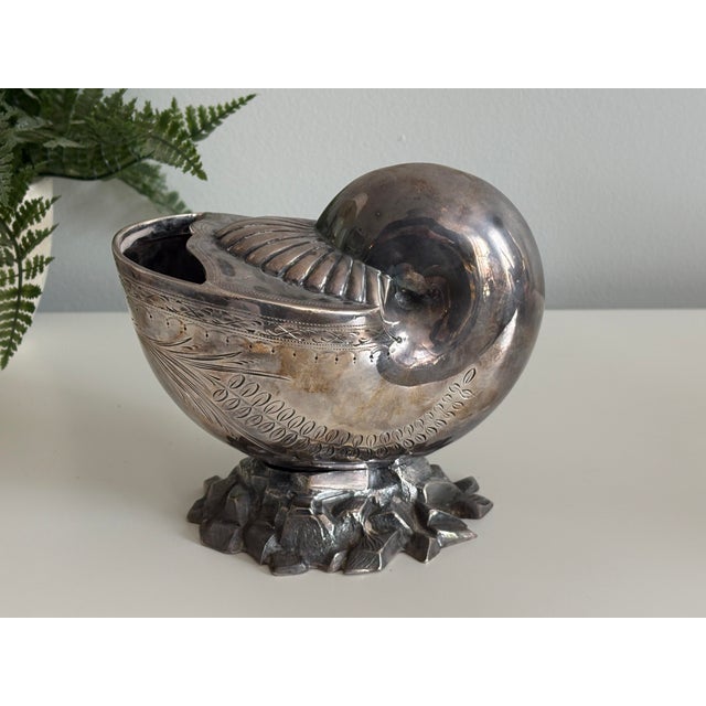 Silver Late 19th Century Victorian Silver Plated Nautilus Shell Spoon Warmer – Decorative Engraving For Sale - Image 8 of 12