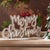 Celebrate the holiday season with this charming Merry Christmas Tabletop Sign Set. Featuring a beautifully scripted...