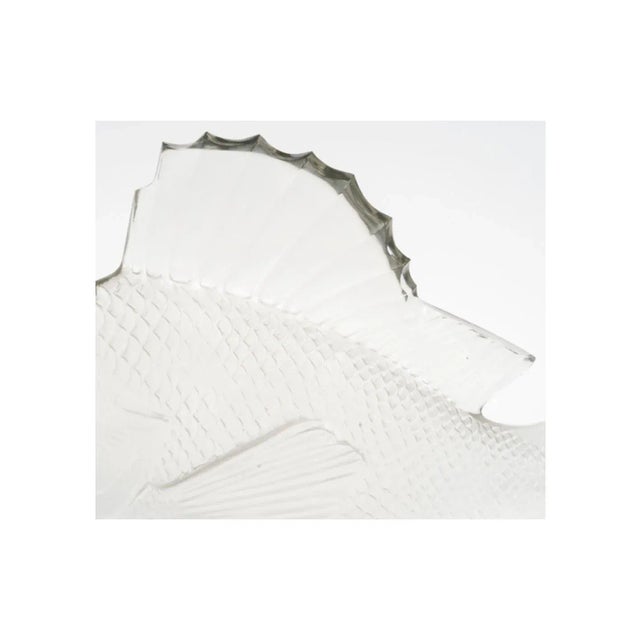 Large Fish with Algae by René Lalique, 1922 For Sale - Image 4 of 10