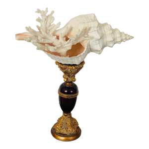 1960s Impressive Spiral Sea Shell On. Pricket Stand Assemblage