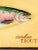 Giclee print of an original detailed watercolor painting of a Rainbow Trout. Add a vintage cabin, natural history look to...