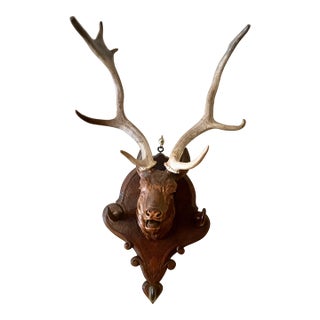 Black Forest Carved Deer Head Hanger For Sale