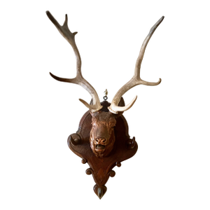 Black Forest Carved Deer Head Hanger