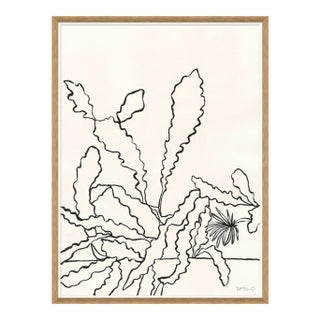 Sedum by Susan Hable For Sale