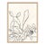 Sedum by Susan Hable For Sale