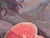 Realism Still Life Oil Painting: Watermelon, Soviet Art, 1982 50-65 For Sale - Image 3 of 6